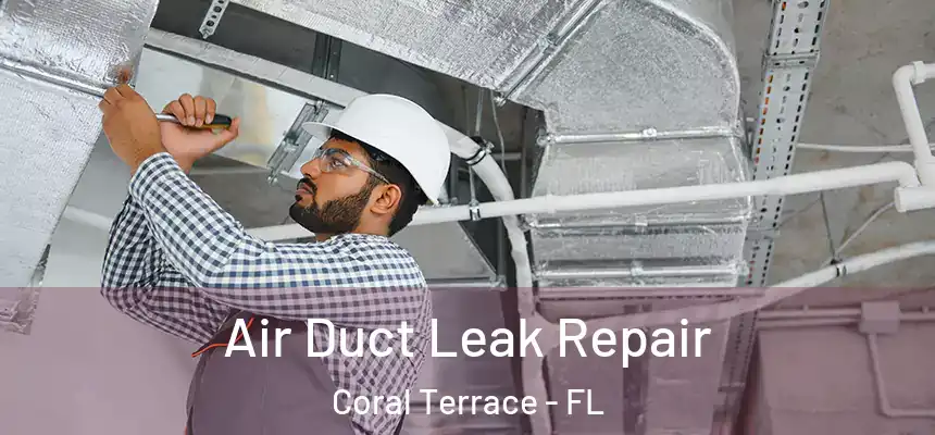  Air Duct Leak Repair Coral Terrace - FL