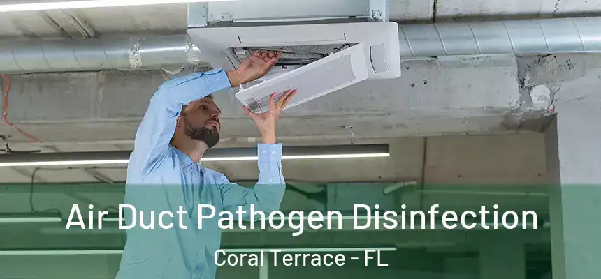  Air Duct Pathogen Disinfection Coral Terrace - FL