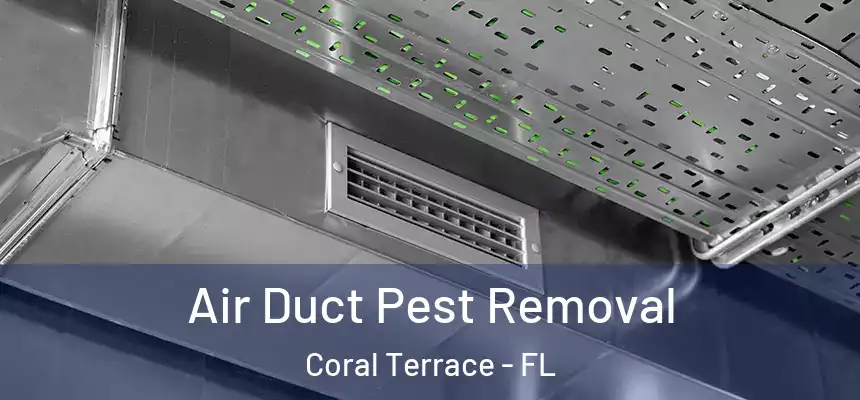 Air Duct Pest Removal Coral Terrace - FL