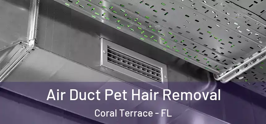  Air Duct Pet Hair Removal Coral Terrace - FL