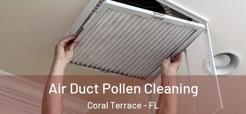 Air Duct Pollen Cleaning Coral Terrace - FL