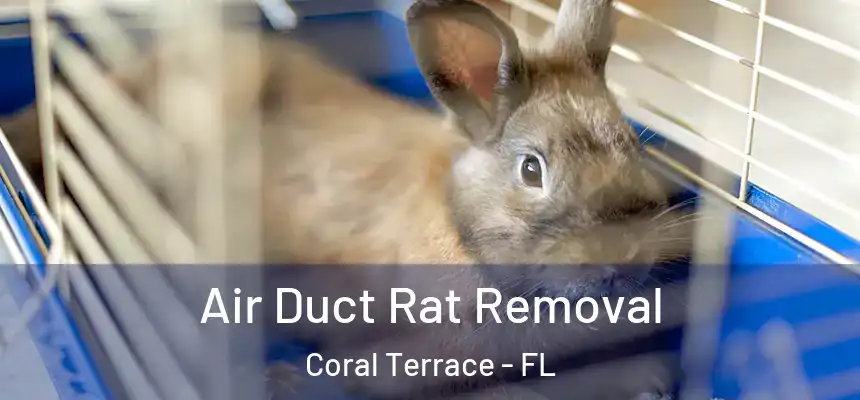 Air Duct Rat Removal Coral Terrace - FL