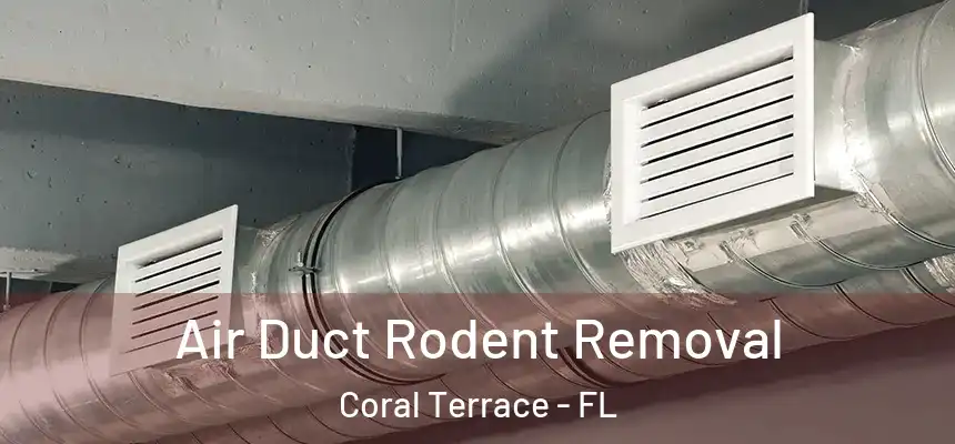 Air Duct Rodent Removal Coral Terrace - FL