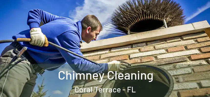 Chimney Cleaning Coral Terrace - FL