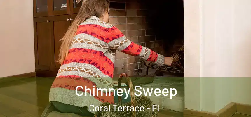  Chimney Sweep Coral Terrace - FL