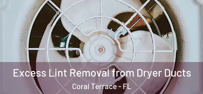  Excess Lint Removal from Dryer Ducts Coral Terrace - FL