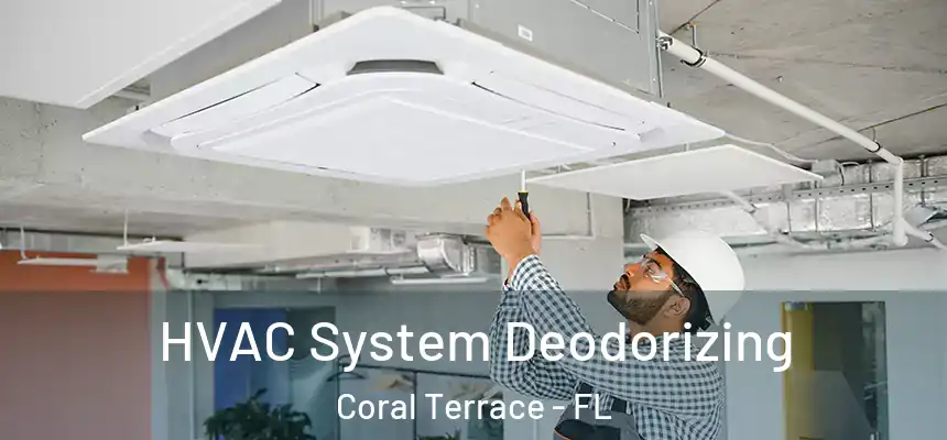  HVAC System Deodorizing Coral Terrace - FL