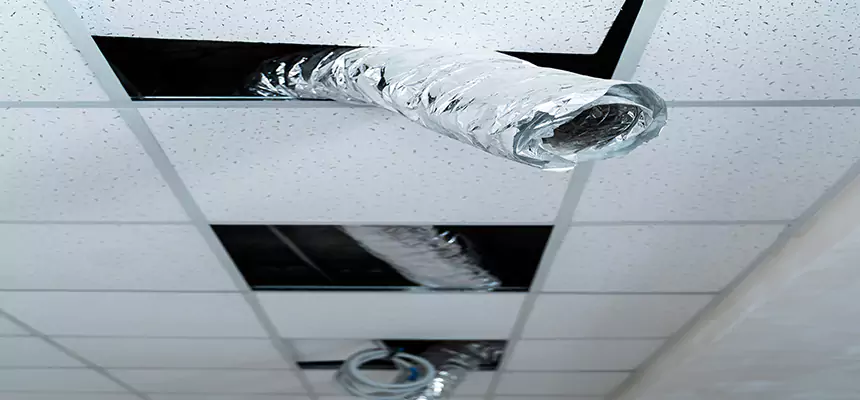 Our Air Duct Pet Hair Removal Services in Coral Terrace, FL