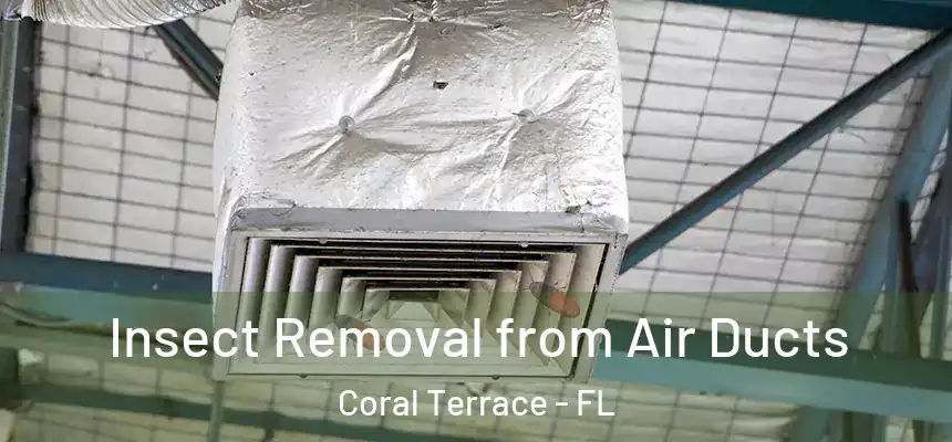  Insect Removal from Air Ducts Coral Terrace - FL