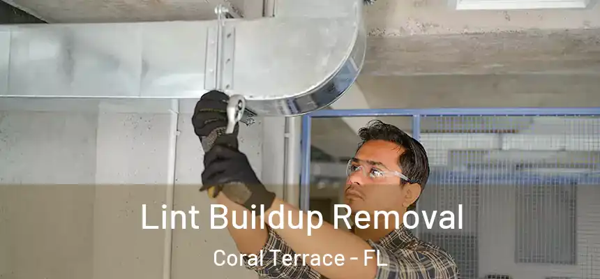  Lint Buildup Removal Coral Terrace - FL