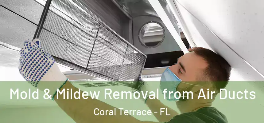  Mold & Mildew Removal from Air Ducts Coral Terrace - FL