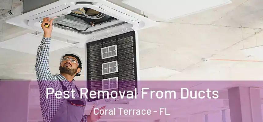  Pest Removal From Ducts Coral Terrace - FL
