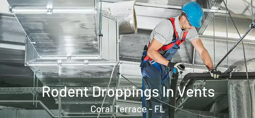  Rodent Droppings In Vents Coral Terrace - FL