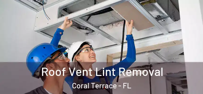  Roof Vent Lint Removal Coral Terrace - FL