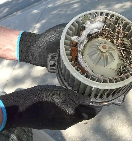 About Air Duct Mice Removal in Coral Terrace, FL