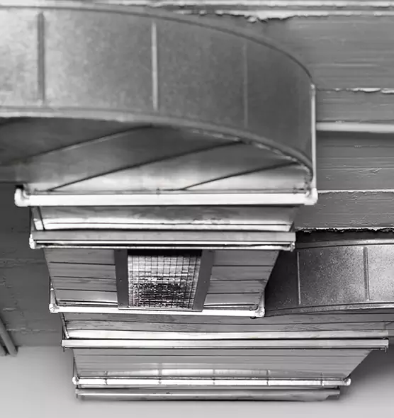 Professional Air Duct Pest Removal in Coral Terrace, FL