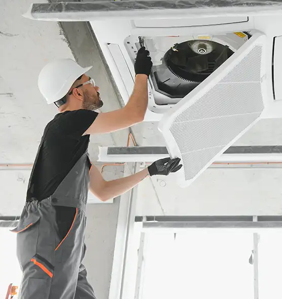 About Air Duct Rodent Removal in Coral Terrace, FL