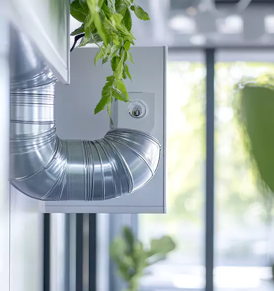 Professional Eco-Safe Dryer Vent Cleaning in Coral Terrace, FL