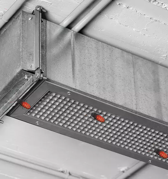 Affordable Insect Removal from Air Ducts in Coral Terrace, FL