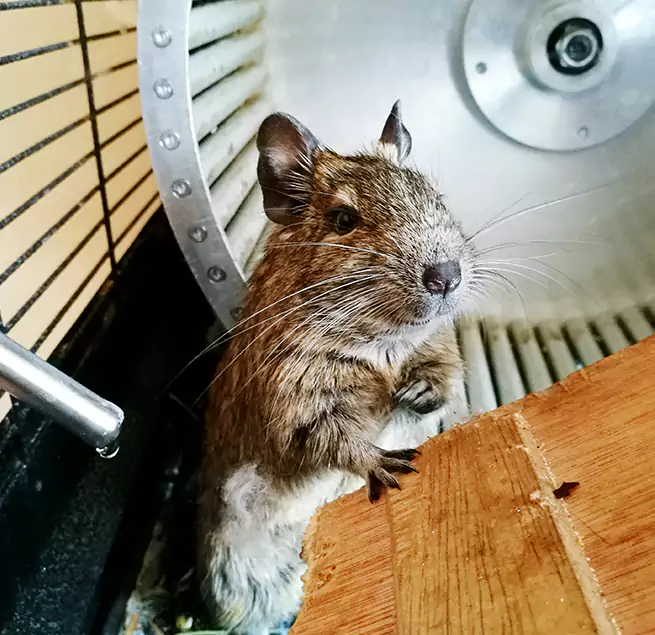 Why Homeowners & Businesses Trust Us Coral Terrace, FL?