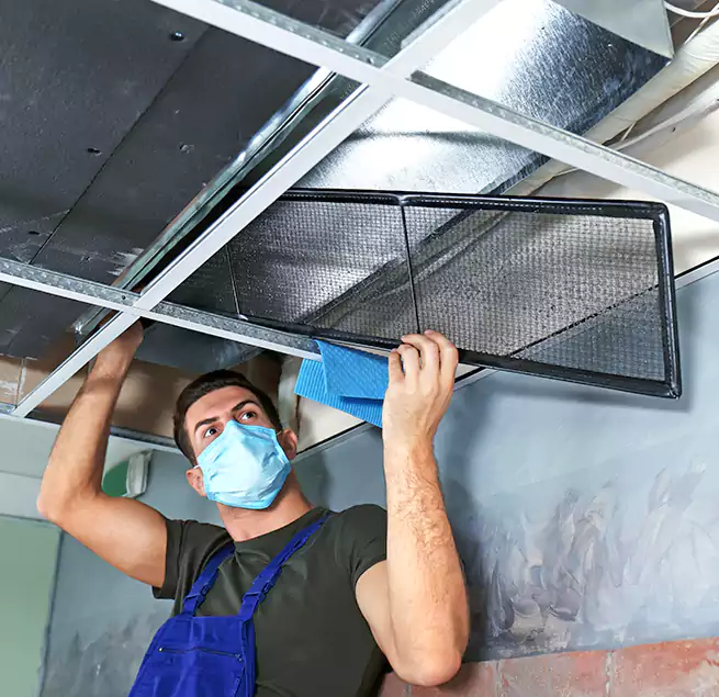 Why Homeowners Businesses Trust Us in Coral Terrace, FL