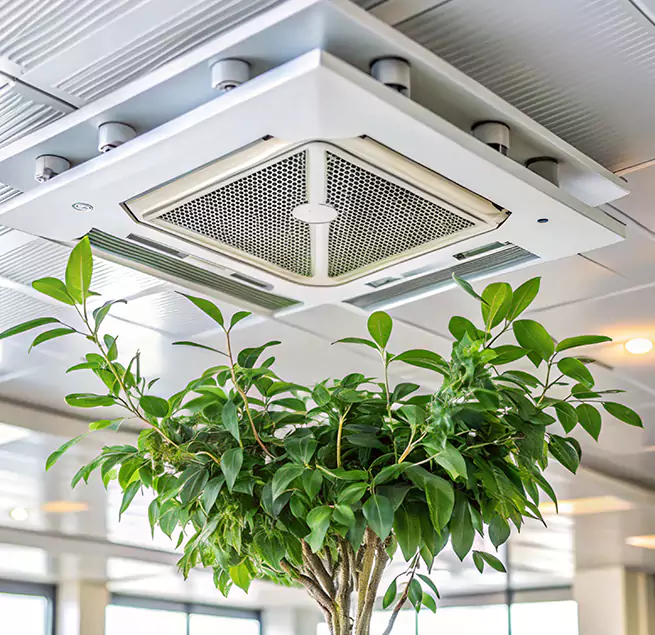 Why Homeowners & Businesses Trust Us in Coral Terrace, FL?