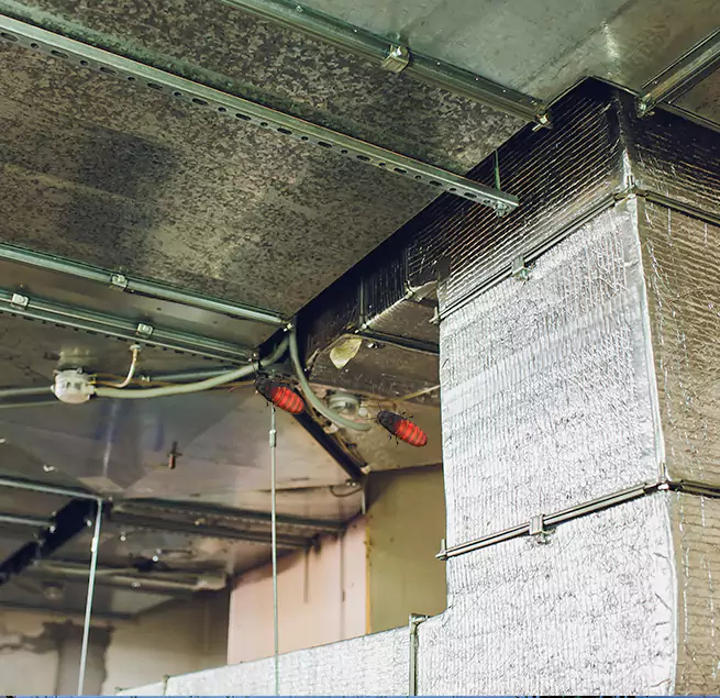 Why Homeowners & Businesses Trust Us Coral Terrace, FL?