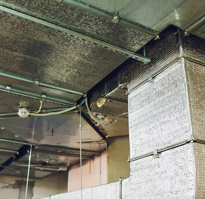 Why Homeowners & Businesses Trust Us in Coral Terrace, FL?